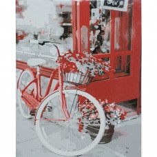 Картина раскраска по номерам Strateg ПРЕМИУМ Велосипед с цветами с лаком размером 40х50 см (SY6857)