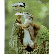 Картина раскраска по номерам Strateg ПРЕМИУМ Белочка с птичкой с лаком размером 40х50 см (SY6930)