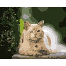 Картина за номерами Strateg ПРЕМІУМ Кіт на відпочинку розміром 40х50 см (DY182)