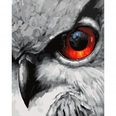 Картина раскраска по номерам Strateg ПРЕМИУМ Глаз совы с лаком размером 40х50 см (SY6658)