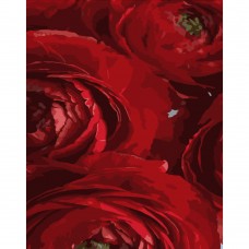 Картина за номерами Strateg ПРЕМІУМ Червоні квіти розміром 40х50 см (DY258)