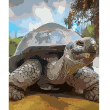 Картина раскраска по номерам Strateg ПРЕМИУМ Взрослая черепаха размером 40х50 см (GS582)