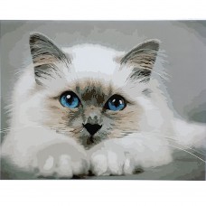 Картина за номерами Strateg ПРЕМІУМ Біленький котик з лаком розміром 40х50 см (SY6878)